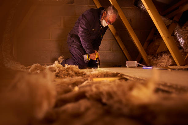 Best Cellulose Insulation in New Madison, OH